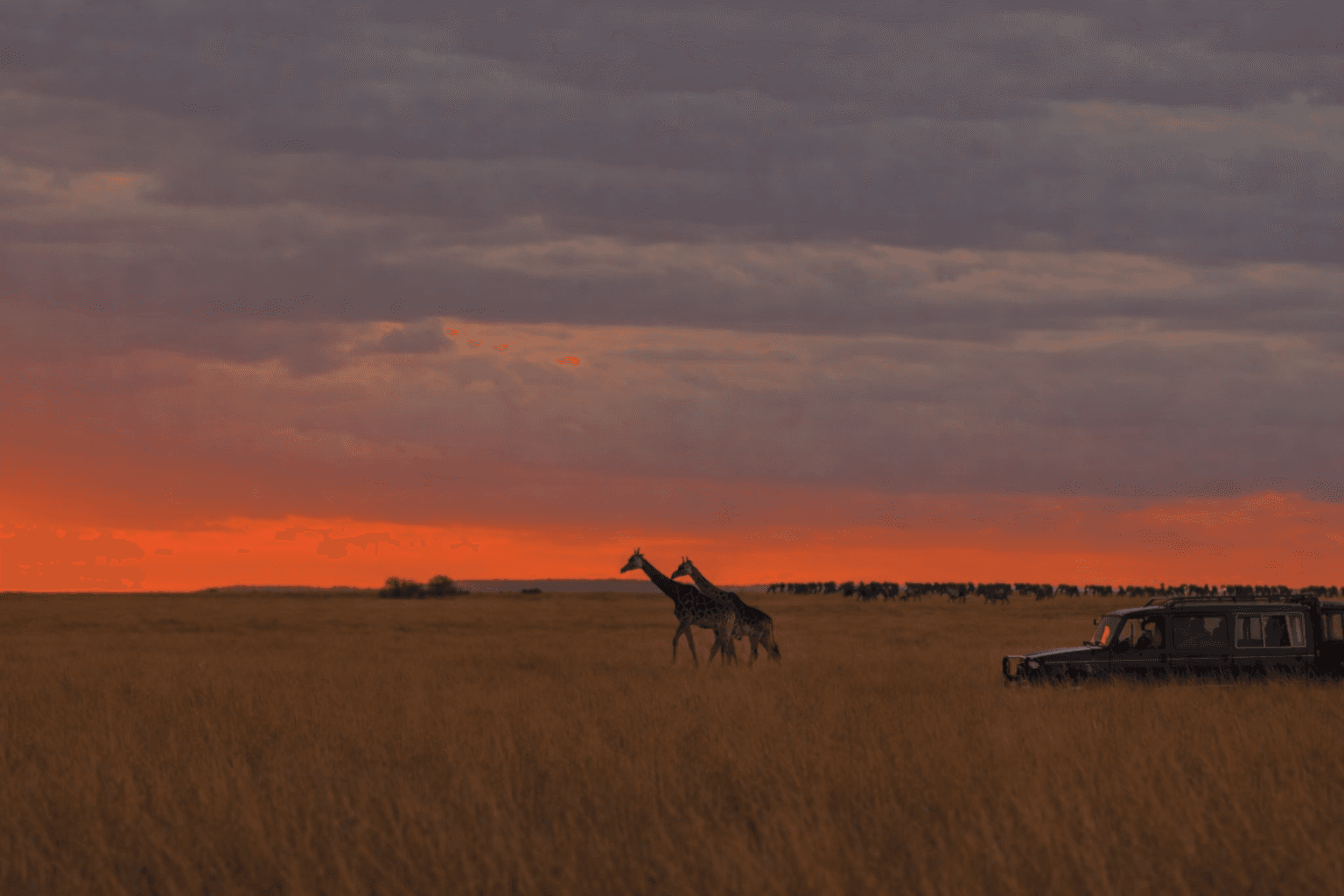 6 Days - Masai Mara and Lake Nakuru