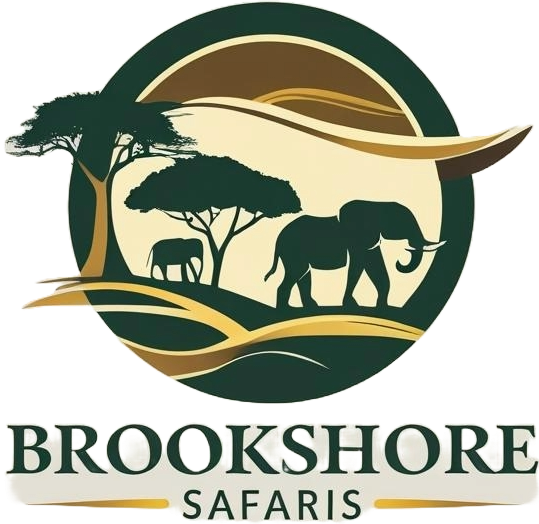 Brookshore Safaris |